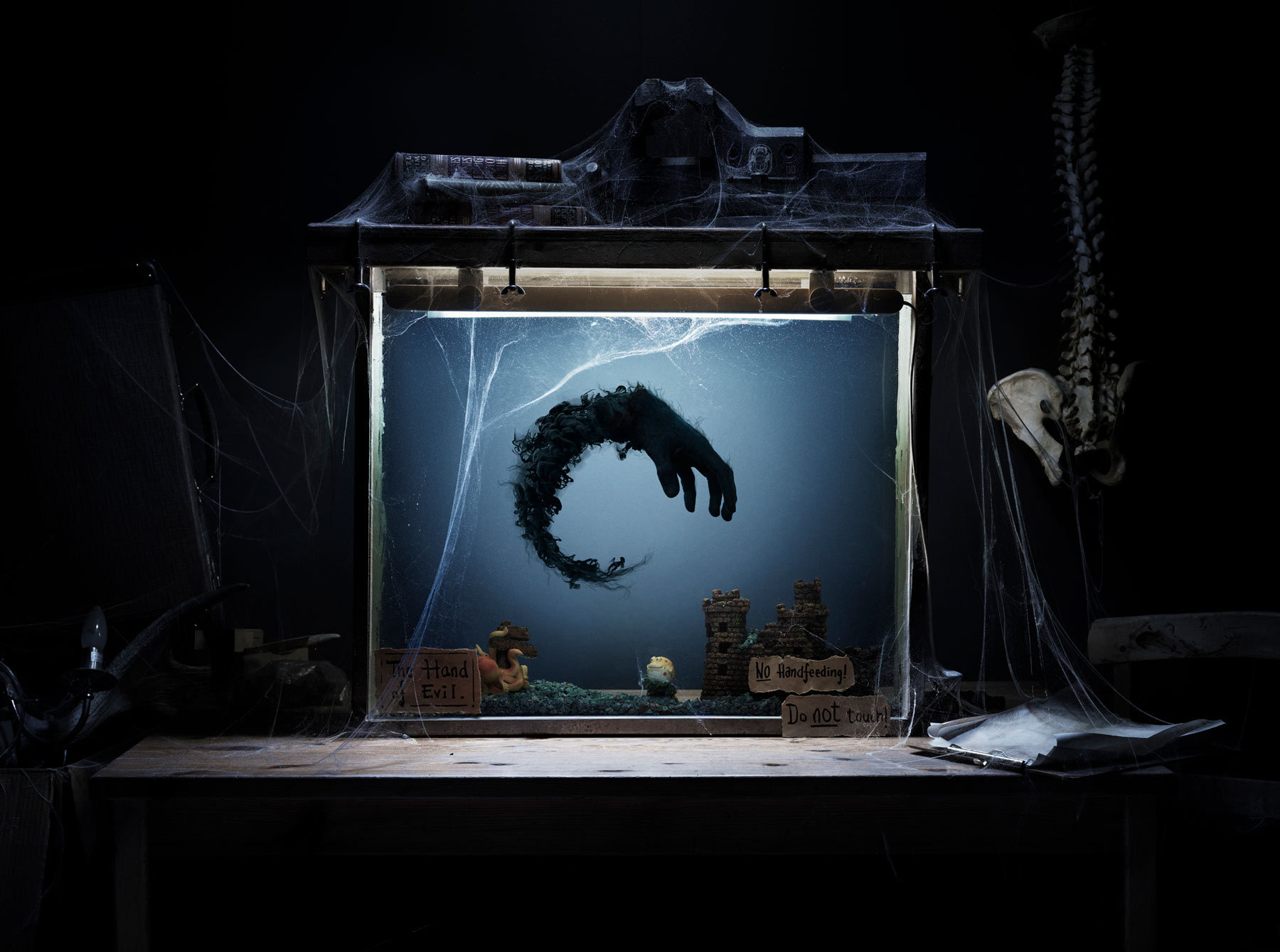 The hand of evil, circling in his aquarium prison. By Håvard Schei