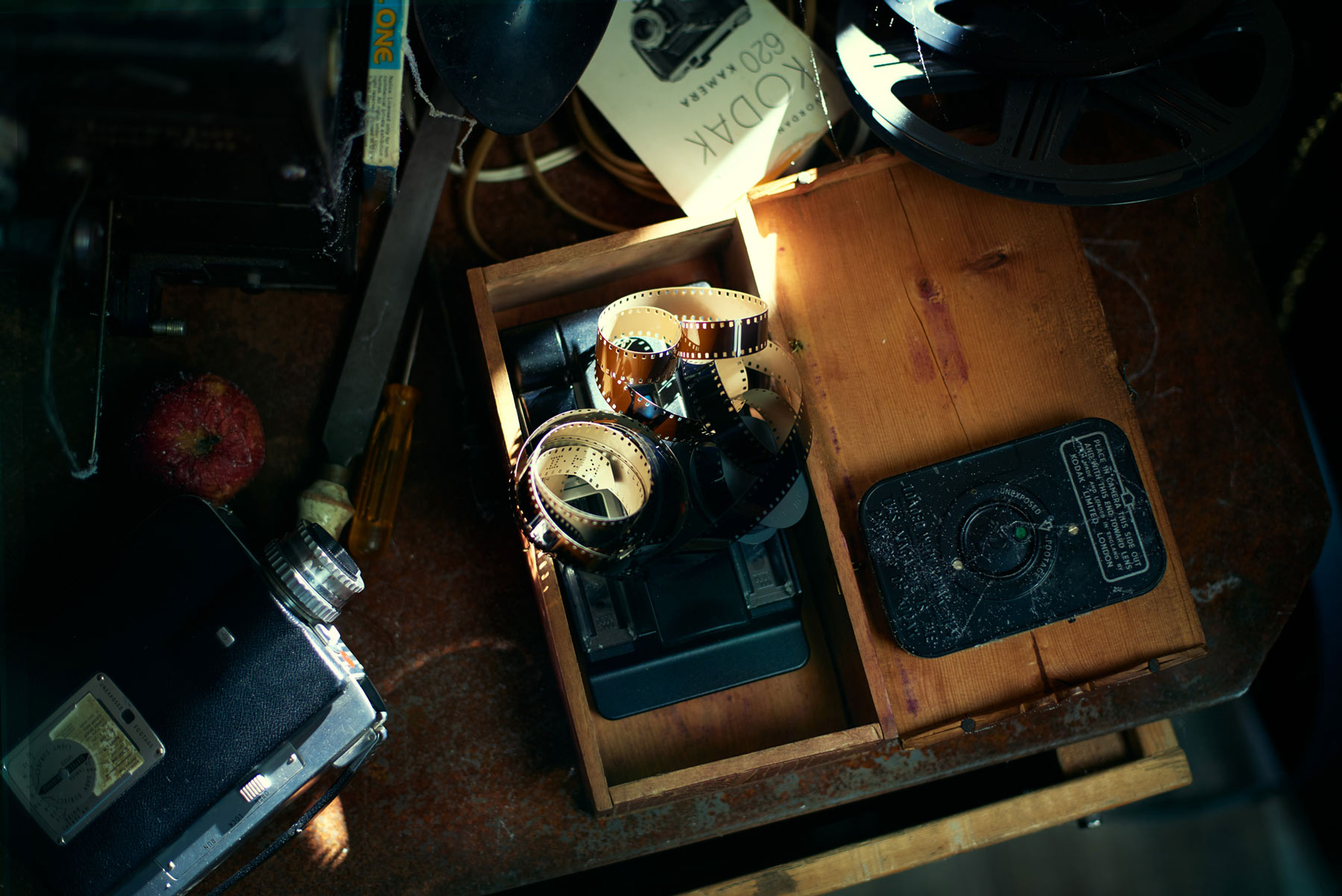 The filmmaker - a portrait series about a dreamer.